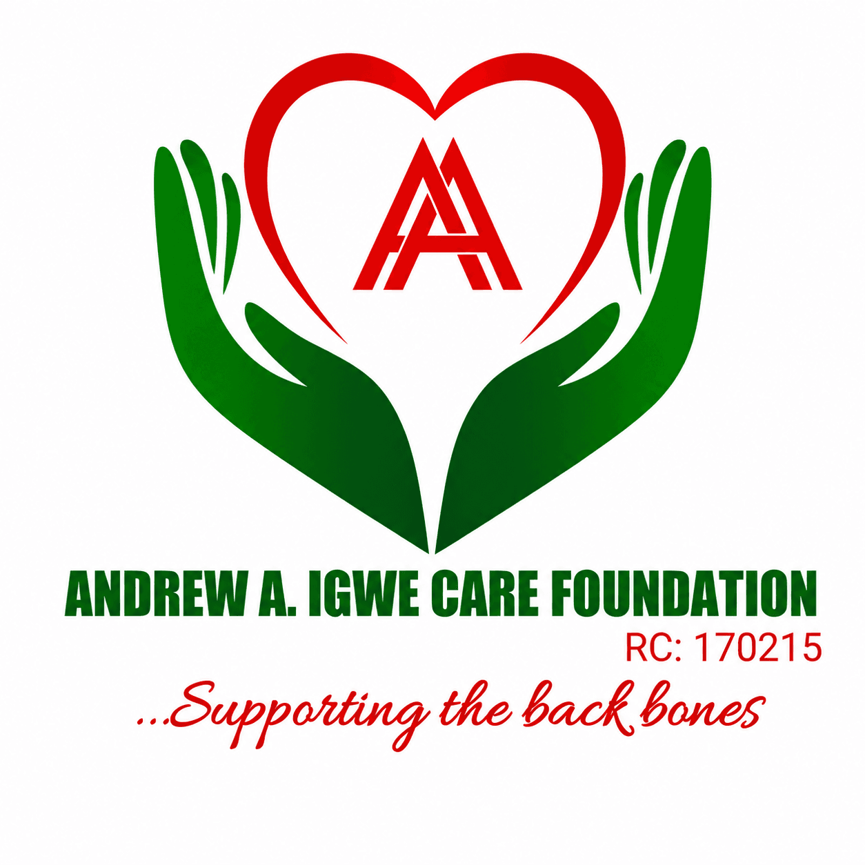 Dr. Andrew A. Igwe Care Foundation logo